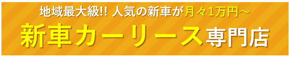 新車の軽自動車が月々1万円～